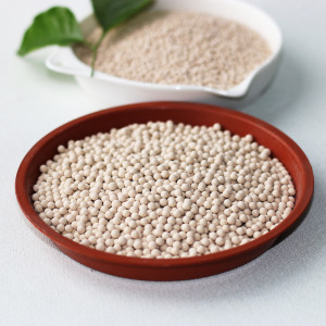 13X Molecular Sieve